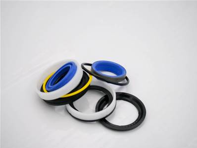 Seal-Kit Eco Log 7006507