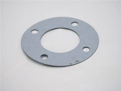 Gasket Eco Log 7032335