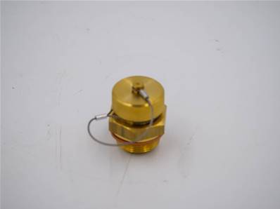 Oil Plug Eco Log 7036802