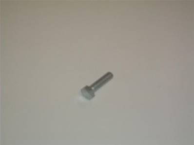 Screw M6S M8x30 8.8 Log Max RE500046