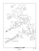 Hydraulic Pump 50401961S5