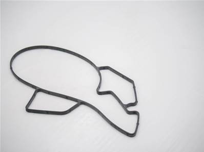 Gasket Eco Log 7037758