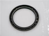 Hydrostatic motor seal John Deere F060076
