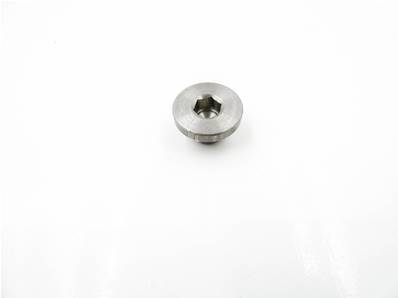 Drain plug sealless 211539