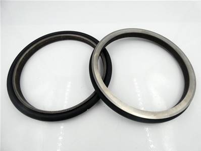 Seal Duo Cone Axle Face Standard