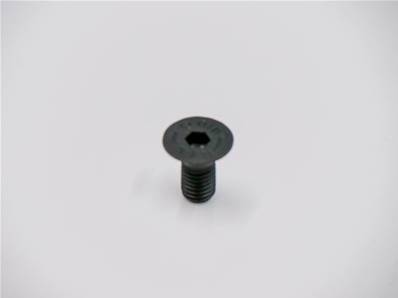 Screw-Flat Head Eco Log 7000365