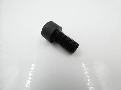 Screw M10x1.25x20 8.8