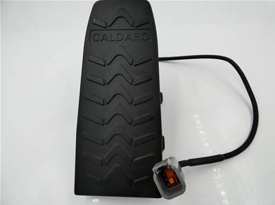 Brake Pedal Eco Log 9905680