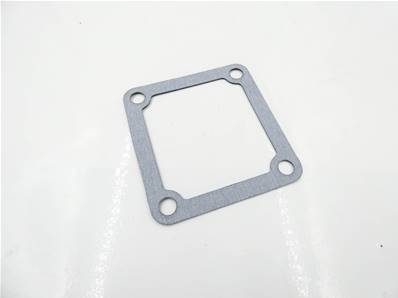 Gasket Air Intake Nef Fpt