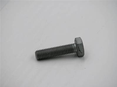 Screw Eco Log 6001985