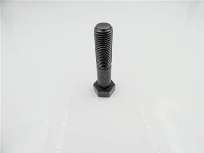 Bolt
