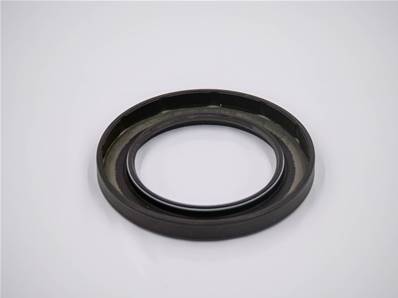 Radial Oil Seal Eco Log 25AS FPM 609010