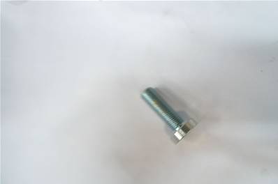 Sensor Screw M12x45 Log Max RE016932