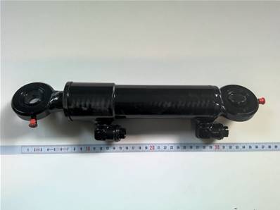 Hydraulic cylinder Log Max RE017909