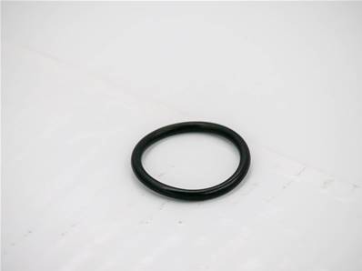 Seal O-ring Eco Log 7019377