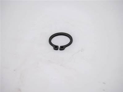 Seeger Ring