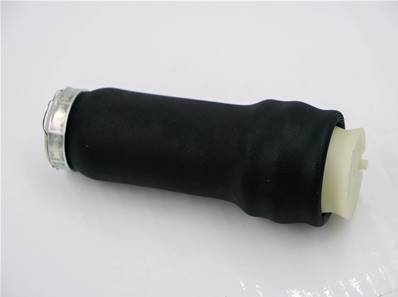 Air Spring Eco Log 7029608
