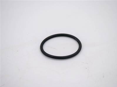 Seal O-Ring Eco Log 7038210