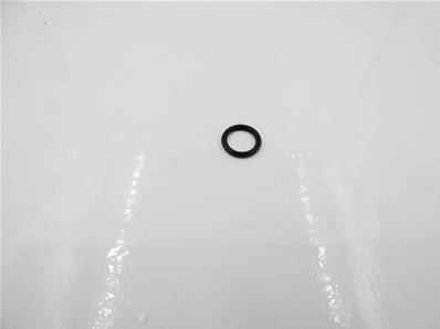 O-ring