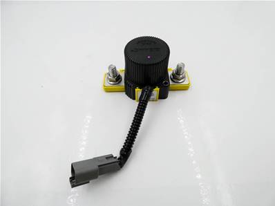 Relay 24V master disconnect assembly 33359A