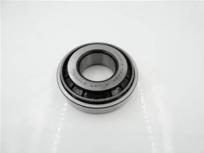 Bearing Pinion Input Differential