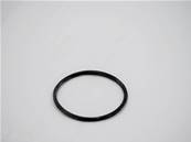 Seal O-Ring 975672