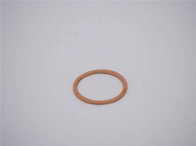 Washer 7019538