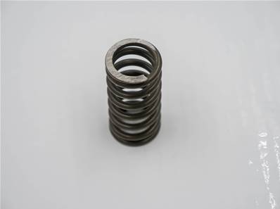 Differential spring John Deere F009394