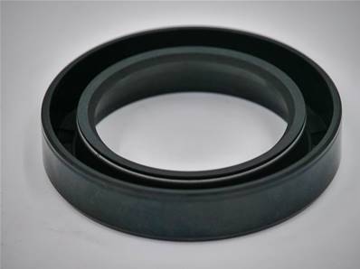 Seal Ring Eco Log 7018729