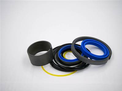 Seal Kit Eco Log 7030669