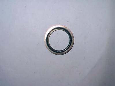 Seal Ring 1'' Log Max RE601105