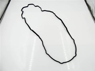 Gasket 211717