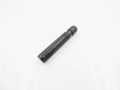 Pin Wear Tip 3/4''Dia