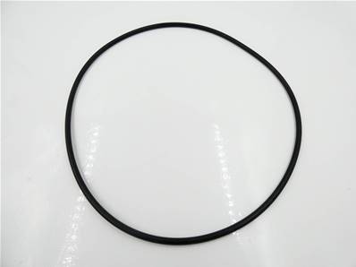 O-ring seal