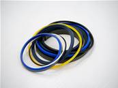 Seal Kit Cranab 7037885