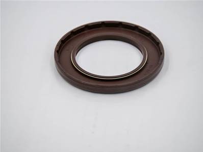 Gasket Eco Log 7035405