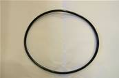 O-Ring 125X4 Log Max RE543164