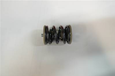 Spring Kit K170 Log Max RE620519