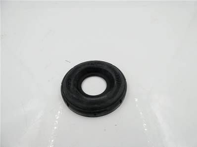 Boot Dust