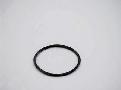 Seal O-Ring 975672