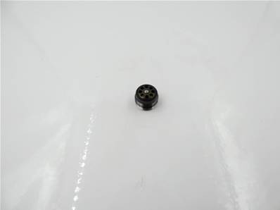 Check valve