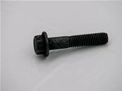 Flange screw