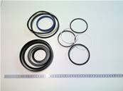 Set of pendulum cylinder seals