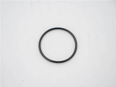 Seal-O Ring Eco Log 7012182