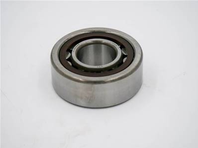 Cyl. Roller Bearing Eco Log 7019354