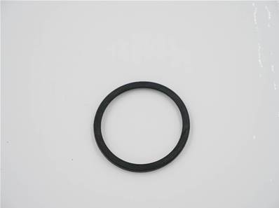 Thermostat gasket John Deere R521548