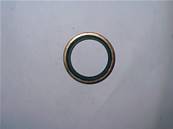 Seal Ring R1 1/4 Log Max RE601106