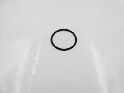 Back Up Ring