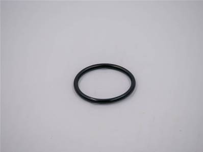 Seal-O Ring Eco Log 7011892