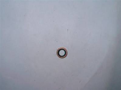 Seal Ring 1/8'' Log Max RE601100